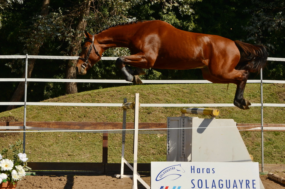 SOLAGUAYRE CASALTANI